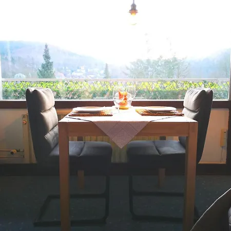 Apartment In Bad Grund